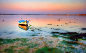 Banner3
